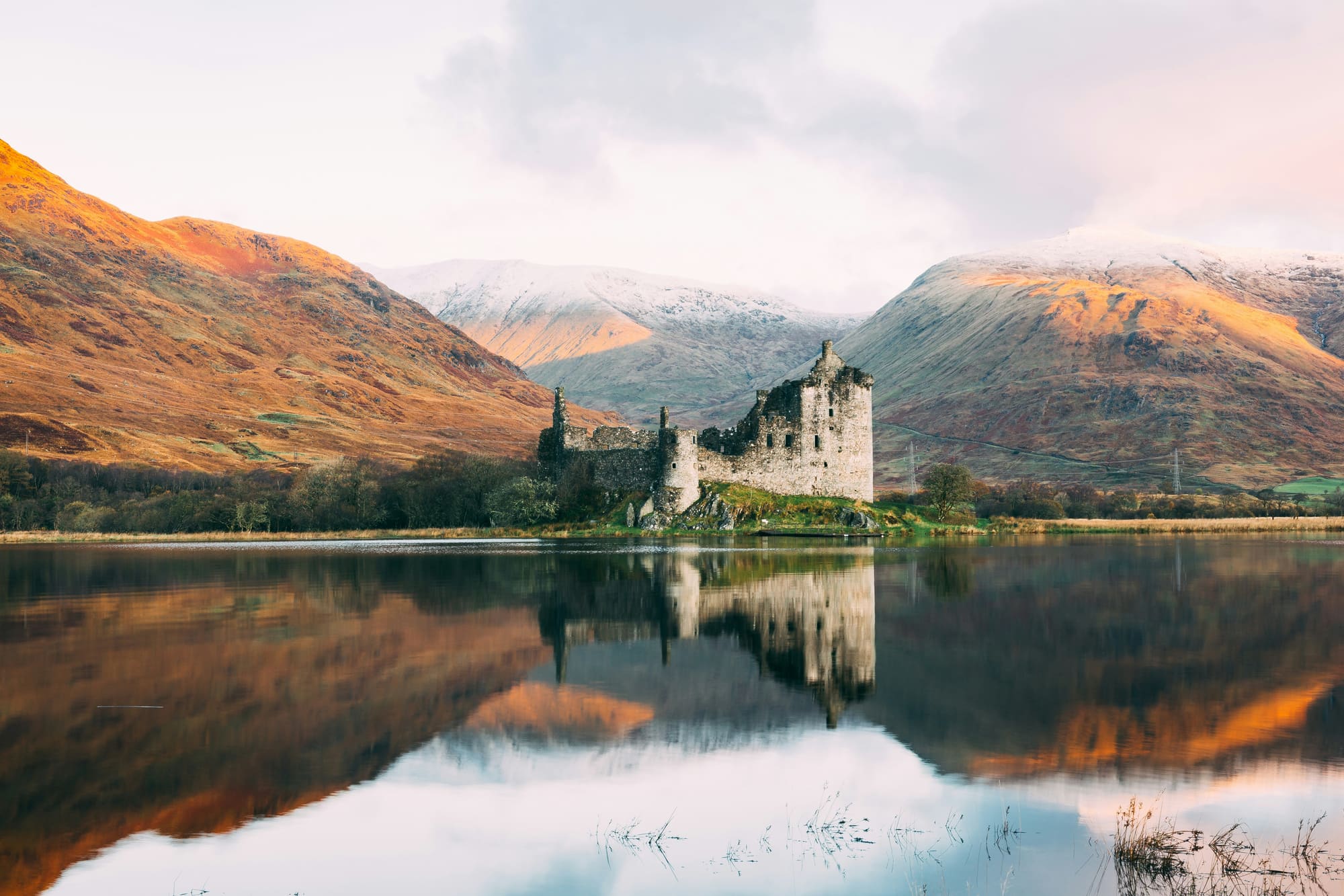 Rabbie's: 55% Organic Visibility Growth Following a High-Risk Migration